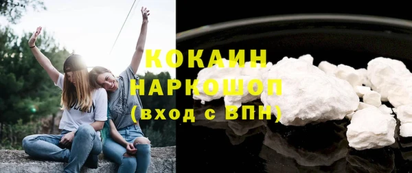 дурь Краснослободск