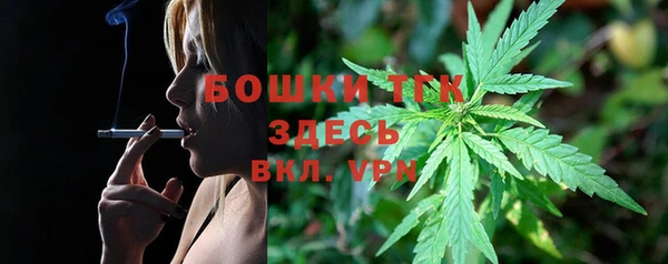 дурь Краснослободск