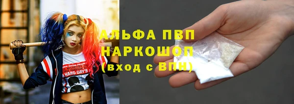 гидра Ессентукская