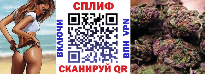 Бошки Шишки планчик Мурманск